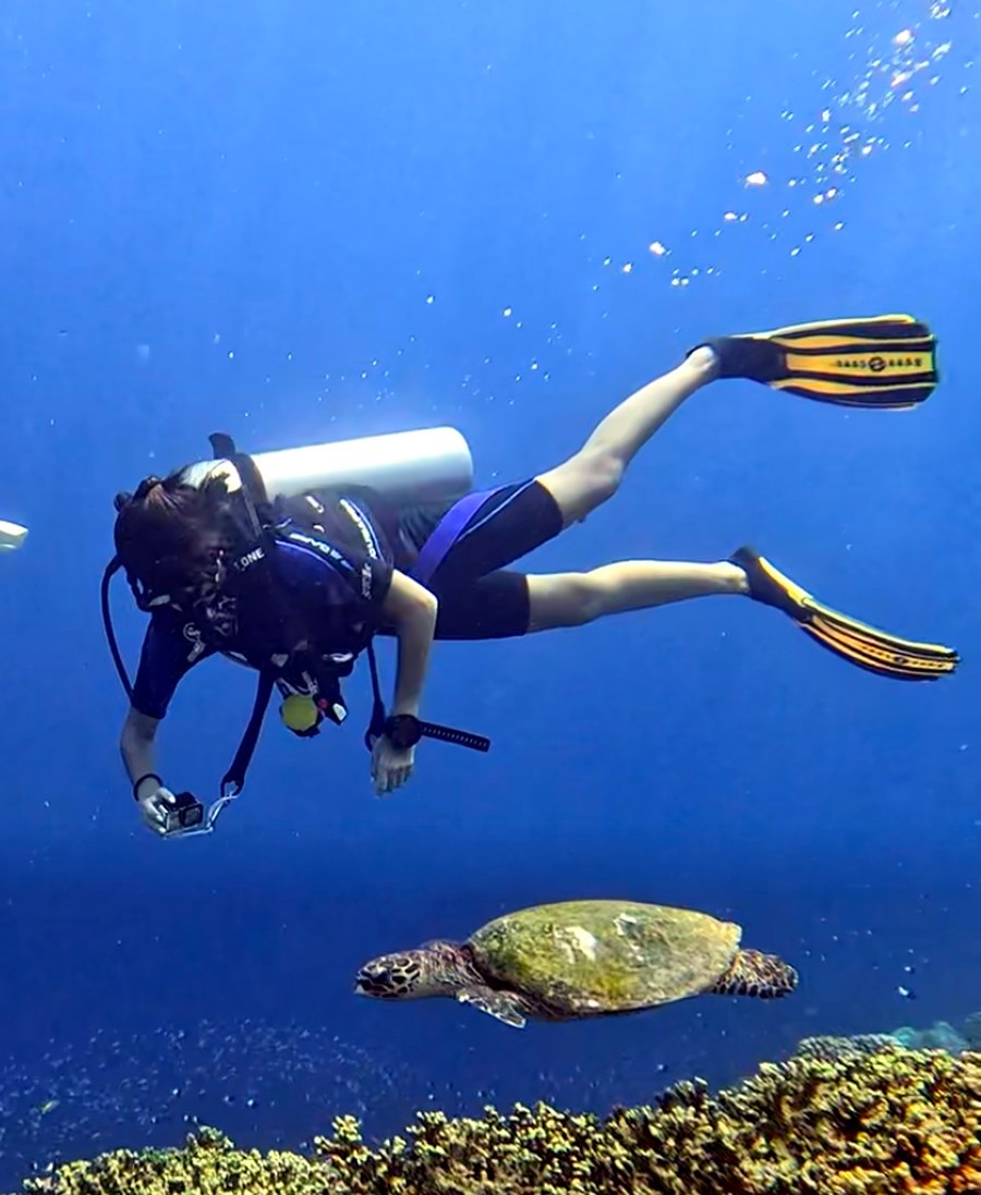 Mergulho com tartaruga marinha